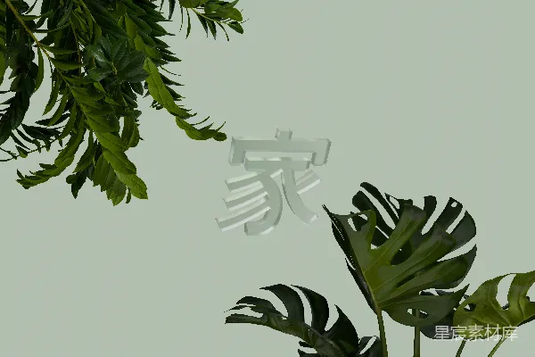 高清摄影 一株上面有汉字的绿色植物