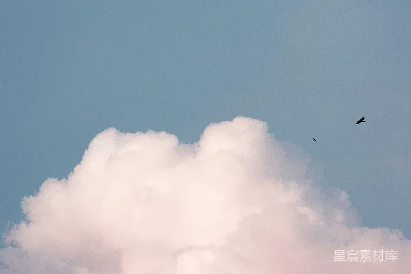 高清摄影 两鸟在多云的天空中飞翔