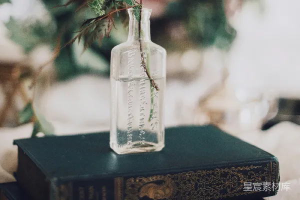 高清摄影 绿色植物的玻璃瓶特写摄影