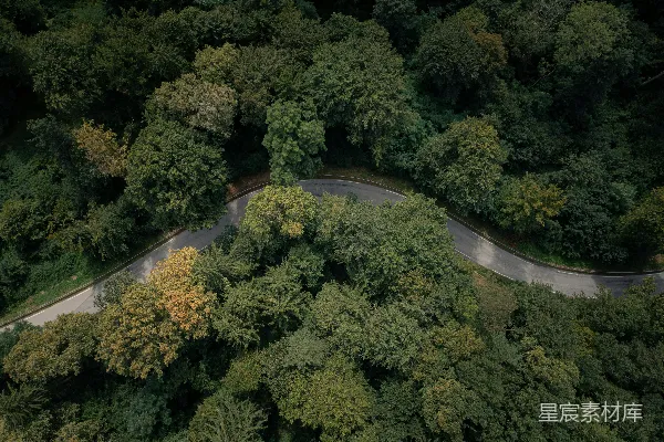 高清摄影 空中俯瞰一条蜿蜒的山路，两旁环绕着树木。