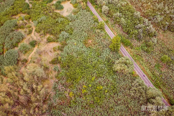 高清摄影 一幅道路被树木环绕的空中俯瞰图