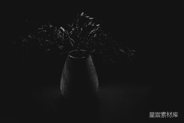 高清摄影 一张黑白照片，照片中有一个花瓶，花瓶里插着花。
