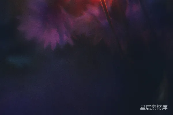 高清摄影 带有深紫色和红色模糊光点的抽象背景。
