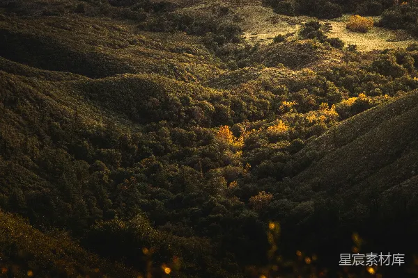 高清摄影 一座山谷的景色，远处树木成林。