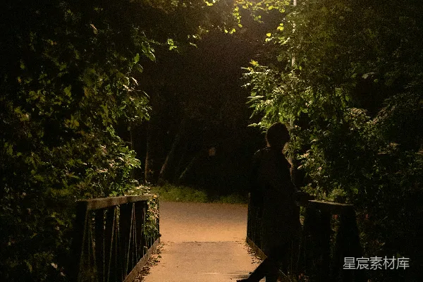 高清摄影 一个人在夜间沿着一条小路行走。