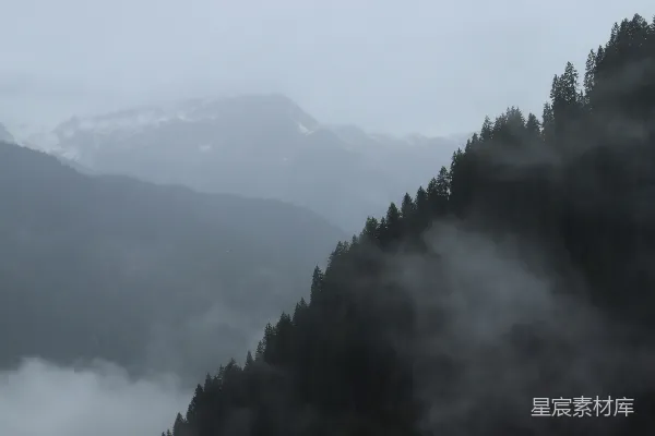 高清摄影 雾蒙蒙的群山和茂密的松树林。