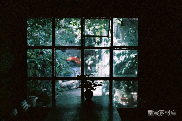 高清摄影 昏暗的房间，桌子，以及窗外的郁郁葱葱的花园。