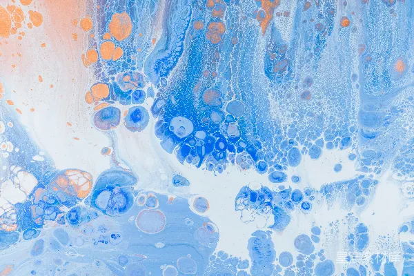 高清摄影 橙色和白色水母在水中