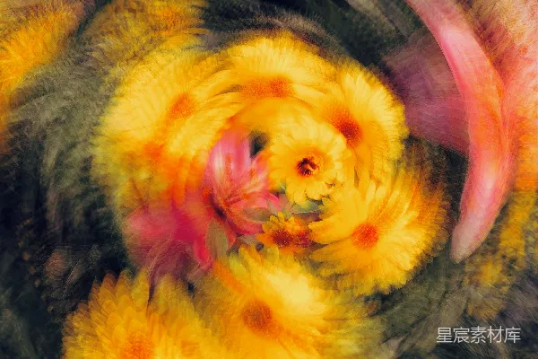 高清摄影 一张鸟的特写照片