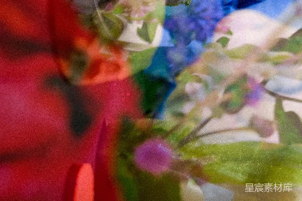 高清摄影 白色和紫色的花在清澈的玻璃花瓶中。