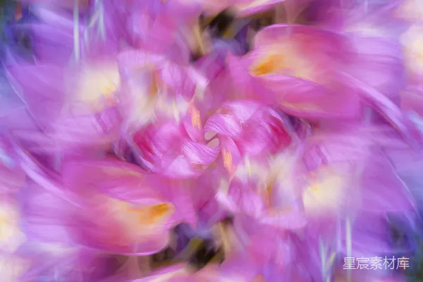 高清摄影 模糊的粉红色花朵图片