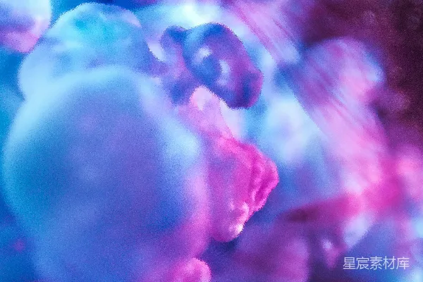 高清摄影 紫色和白色抽象画