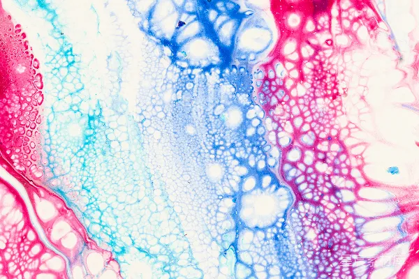 高清摄影 一幅红色、白色和蓝色背景的画作特写。