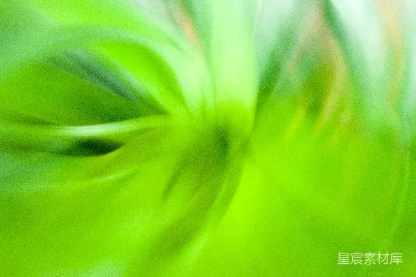 高清摄影 显微镜头下的绿花