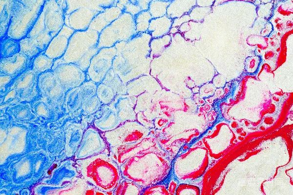 高清摄影 蓝红抽象画