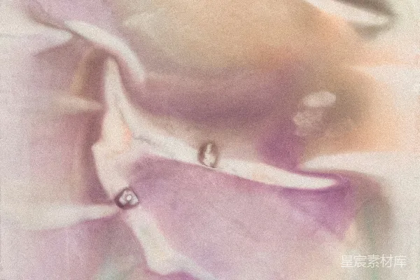 高清摄影 一朵花的特写，花上有一枚戒指。
