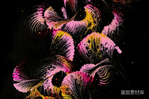高清摄影 一幅黑底上的花卉画