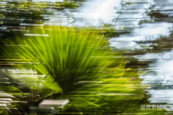 高清摄影 白天水面上的绿色植物