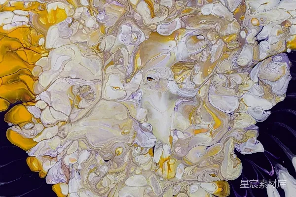 高清摄影 一幅白色和黄色的花朵画