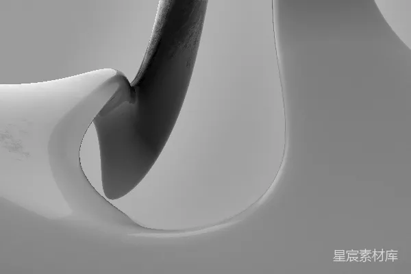 高清摄影 一张黑白照片，照片中有一个弯曲的物体。