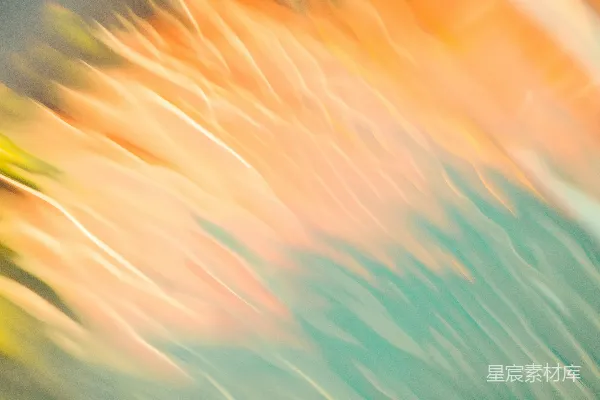 高清摄影 模糊的花朵照片