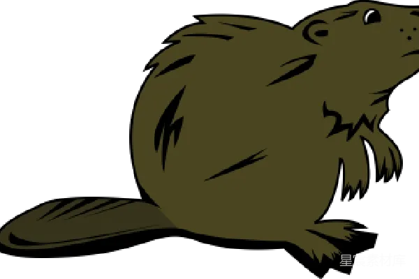 元素素材 Beaver