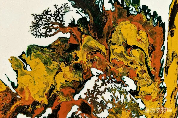 高清摄影 一幅有黄色树叶的树的画作