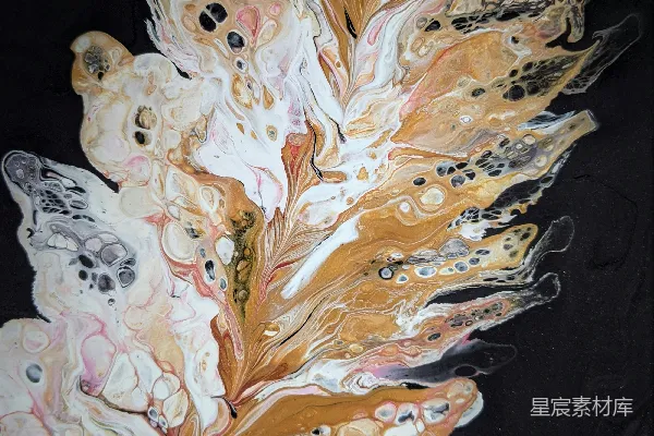 高清摄影 一幅黑色背景上的叶子画作