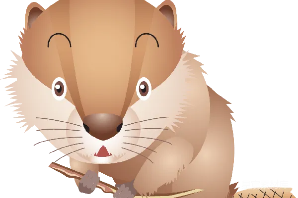 元素素材 Beaver（河狸）