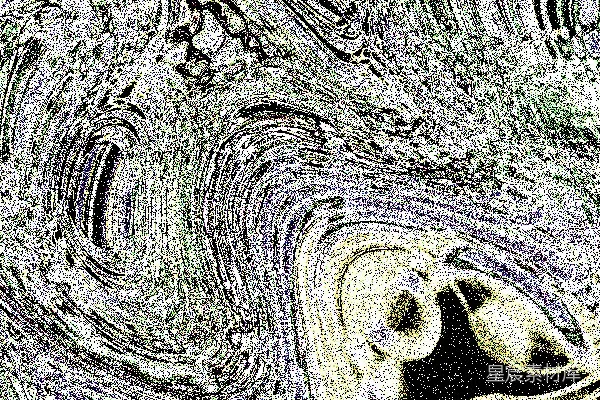 高清摄影 抽象的光和色彩的漩涡图案