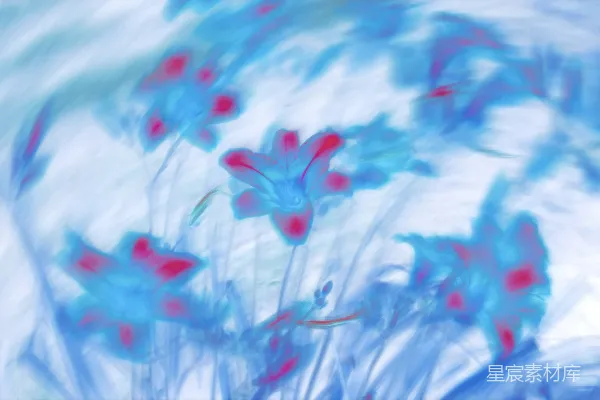 高清摄影 蓝色和红色的抽象花朵，带有模糊的、梦幻的效果。