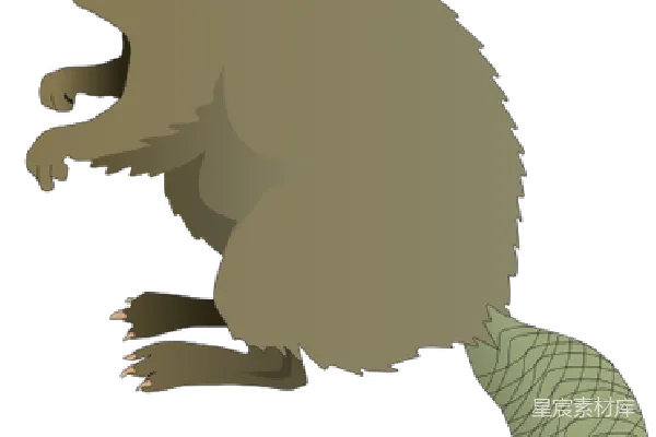 元素素材 Beaver