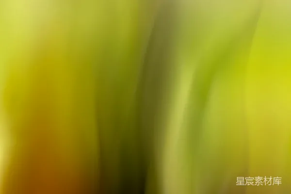 高清摄影 垂直条纹状的黄色和绿色