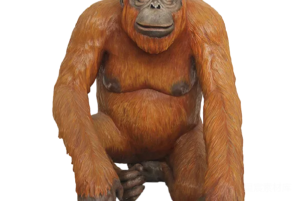 元素素材 PNG
