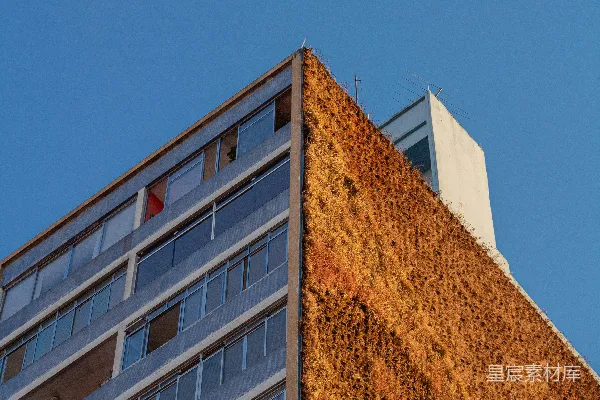 高清摄影 低角度拍摄的高层建筑照片