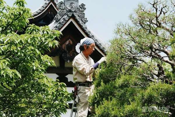 高清摄影 男人穿着米色长袖衬衫和裤子，站在灰色梯子上，梯子靠近绿色树木。