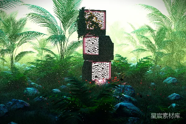 高清摄影 一个装有植物和石头的鱼缸