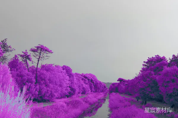 高清摄影 一个梦幻般的紫色景观，一条倒映着天空的河流。