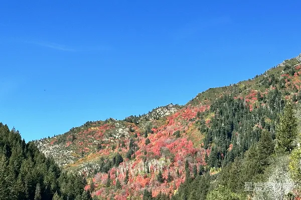 高清摄影 一幅红绿相间的树木环绕的山景图