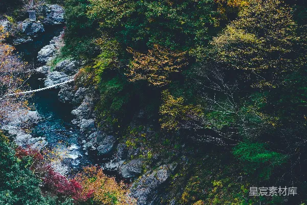高清摄影 森林中间的河流