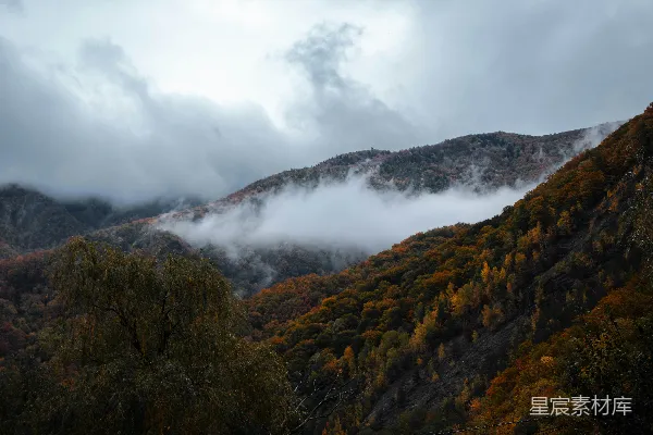 高清摄影 一座云雾缭绕的山