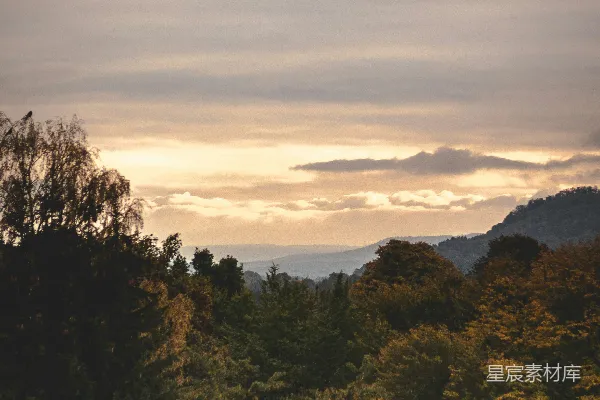 高清摄影 夕阳西下时山上的绿树