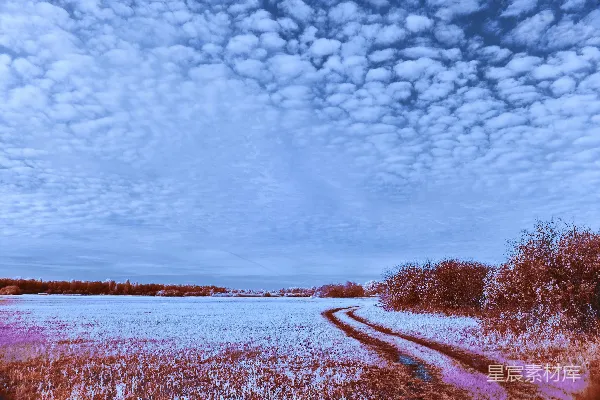 高清摄影 泥泞的土路穿过雪地，天空布满阴云。