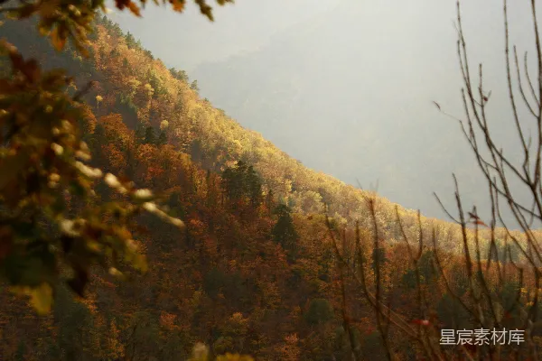 高清摄影 前景有树木的山景