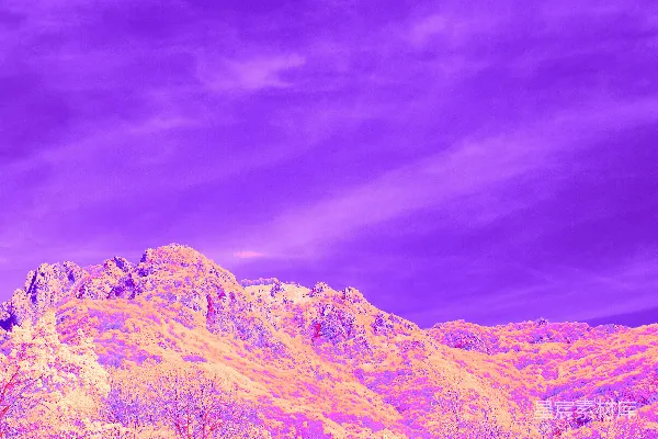 高清摄影 紫色的天空映衬着橙色的山脉和树木