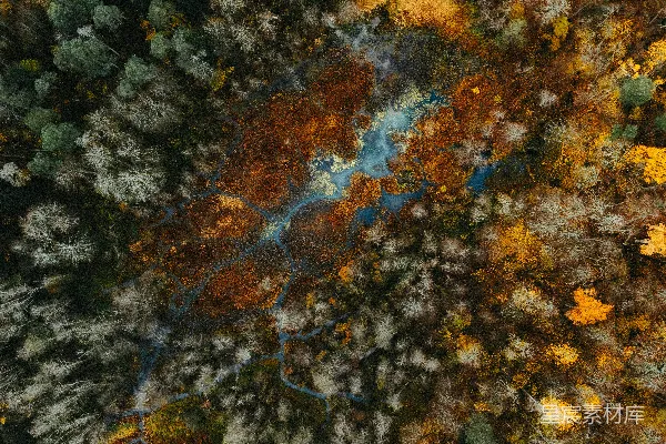 高清摄影 秋天森林的航拍视角，蜿蜒的河流穿过其中