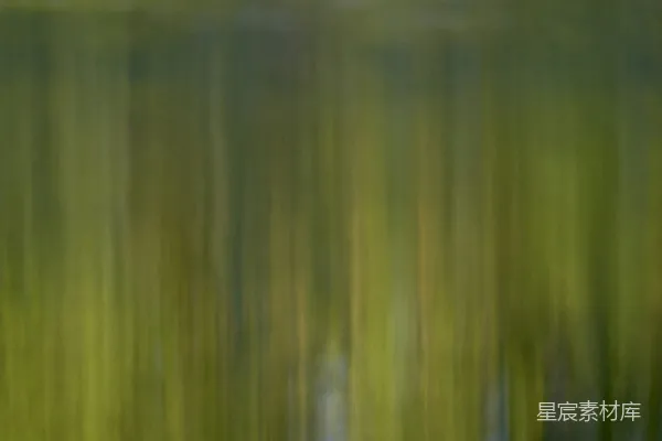 高清摄影 抽象垂直的绿黄色条纹