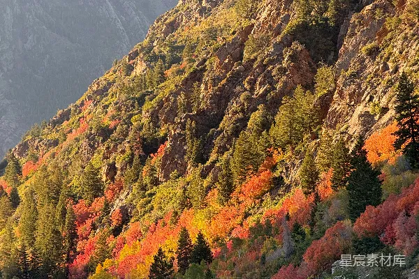 高清摄影 晨曦中，岩石山岗上长满的秋树。