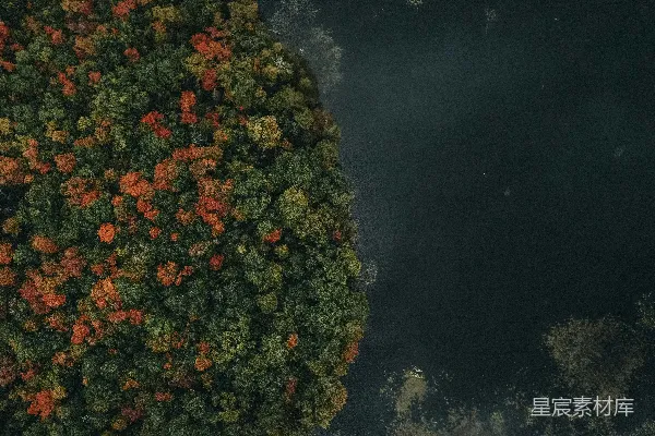 高清摄影 湖泊周围树木环绕的俯瞰图