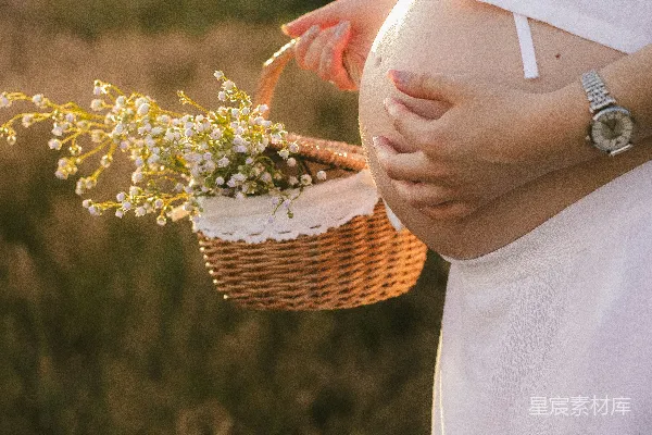 高清摄影 在金色阳光下，孕妇拿着一个装满花篮。
